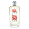 Pivoine