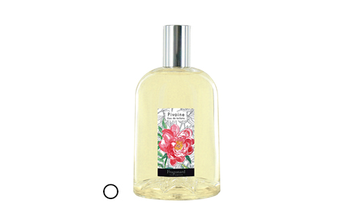Pivoine