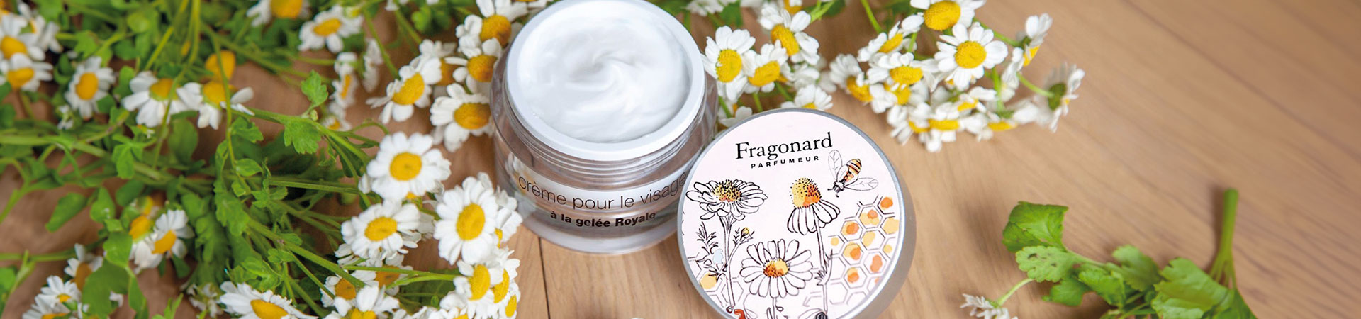 Gift idea between 25€ and 50€