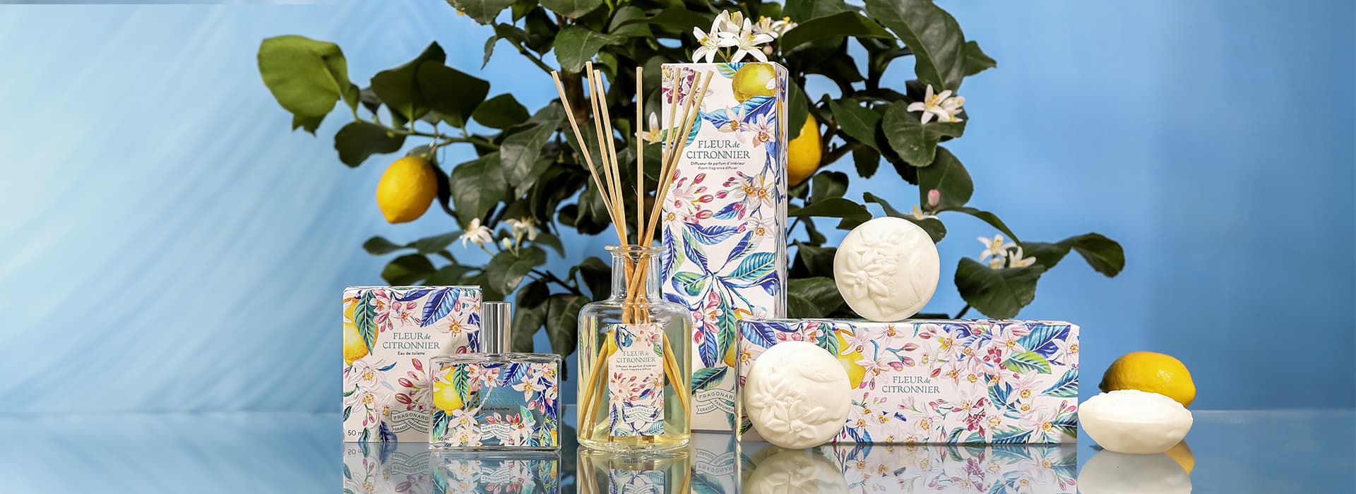 FLEUR DE CITRONNIER