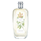 Verveine