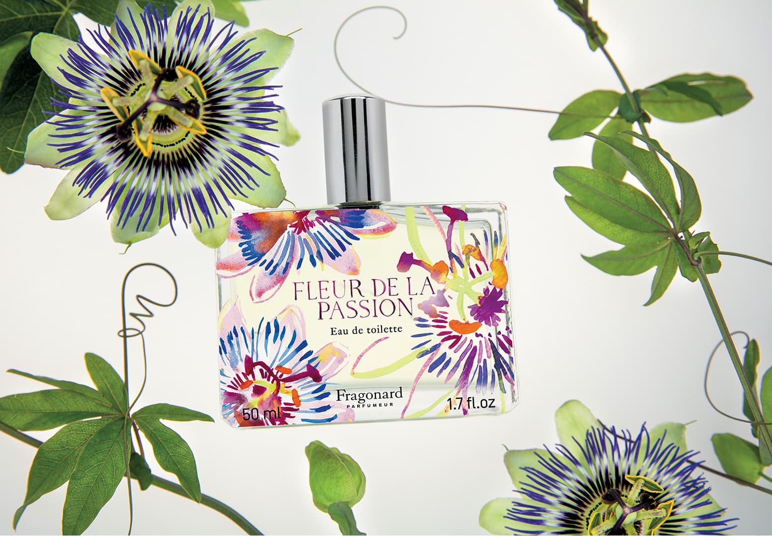 FLEUR DE LA PASSION, UNE FLEUR AUX TROIS VISAGES