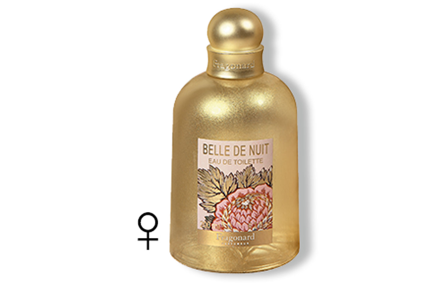 BELLE DE NUIT