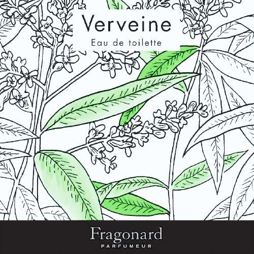 Verveine