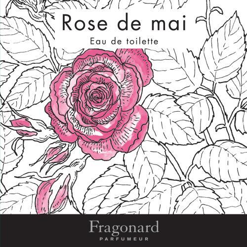 Rose de Mai