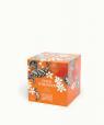 Fleur d'Oranger (Orange Blossom)
