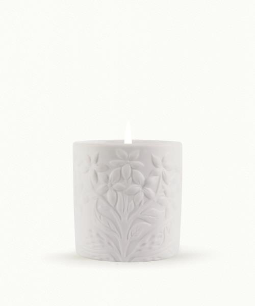 Fleur d'Oranger (Orange Blossom)