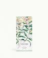 Verveine (Verbena)