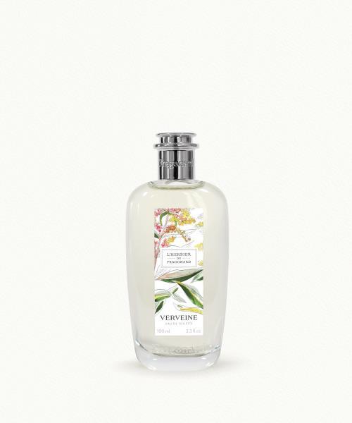 Verveine (Verbena)