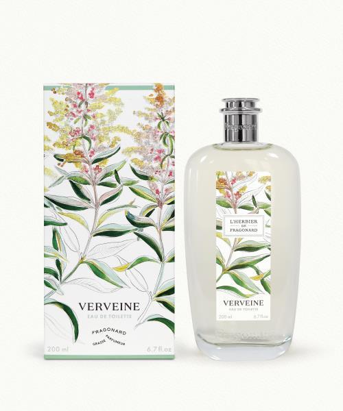 Verveine (Verbena)