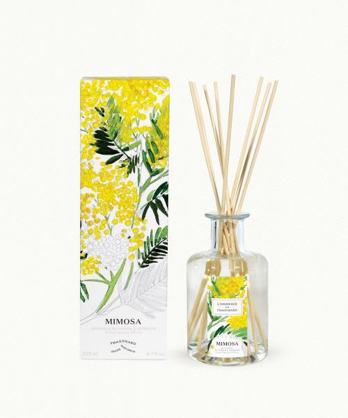 Mimosa
