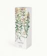Verveine