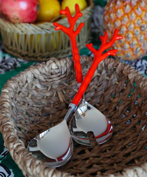 Set de couverts à salade Corail